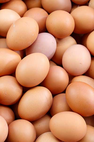 distributori ingrosso di uova fresche cremona